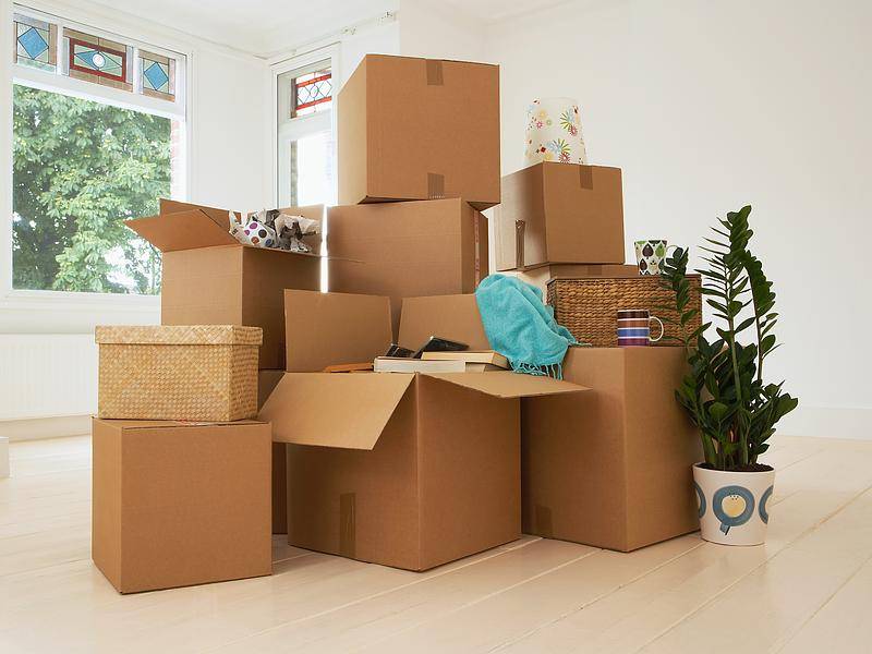 Vente carton à Lille